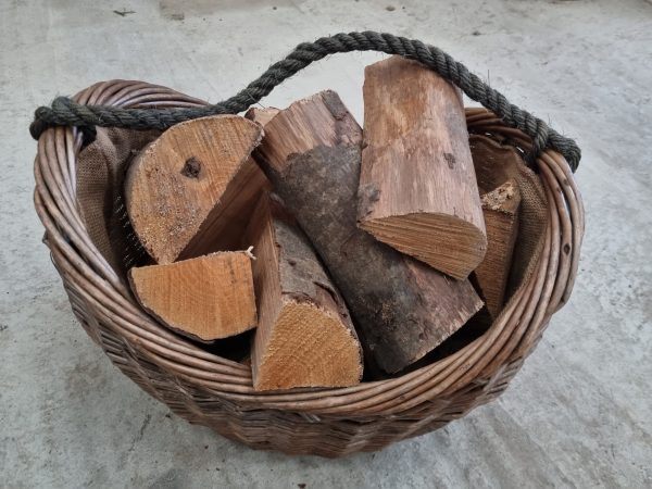 Logs in nets - Image 9