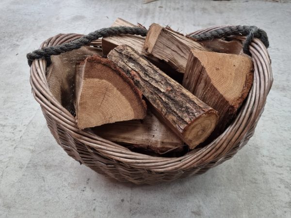 Logs in nets - Image 10
