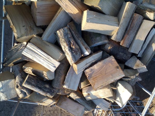 Seasoned hardwood logs - local - Image 2